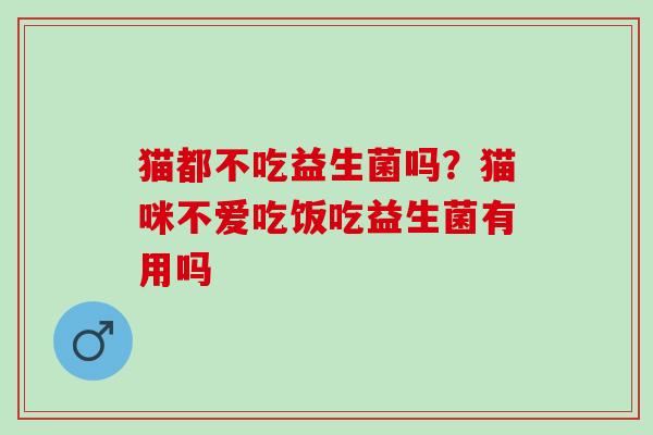 猫都不吃益生菌吗？猫咪不爱吃饭吃益生菌有用吗