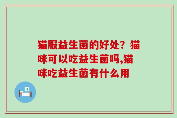 猫服益生菌的好处？猫咪可以吃益生菌吗,猫咪吃益生菌有什么用