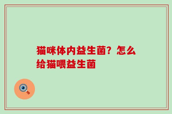 猫咪体内益生菌？怎么给猫喂益生菌