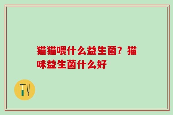猫猫喂什么益生菌？猫咪益生菌什么好