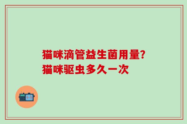 猫咪滴管益生菌用量？猫咪驱虫多久一次