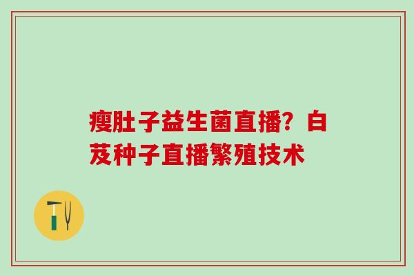 瘦肚子益生菌直播？白芨种子直播繁殖技术