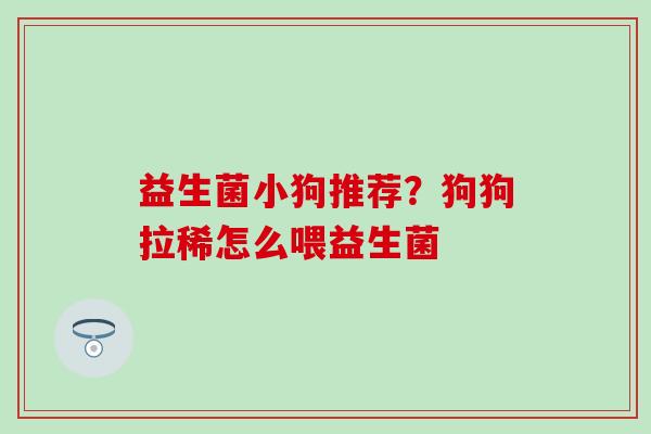 益生菌小狗推荐？狗狗拉稀怎么喂益生菌