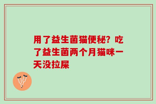 用了益生菌猫便秘？吃了益生菌两个月猫咪一天没拉屎