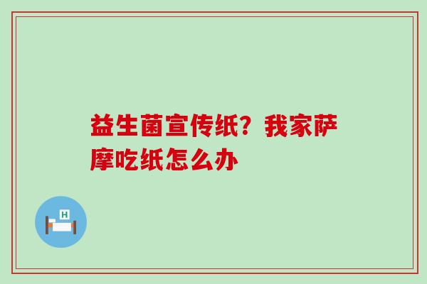 益生菌宣传纸？我家萨摩吃纸怎么办