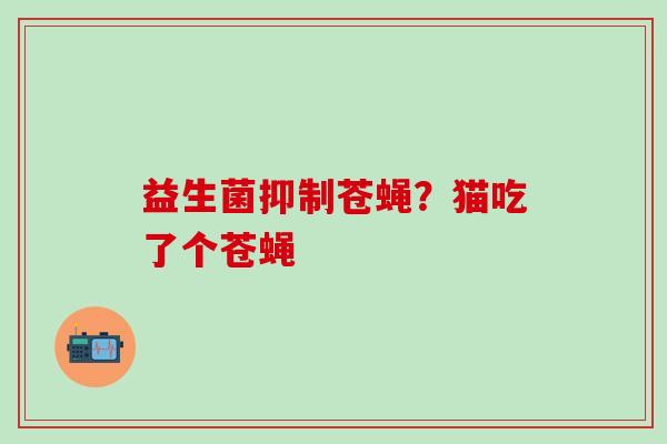 益生菌抑制苍蝇？猫吃了个苍蝇