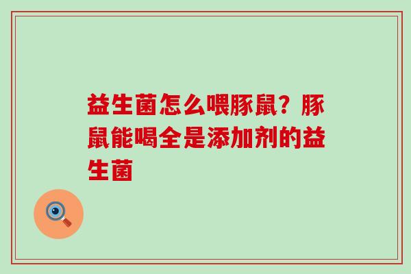 益生菌怎么喂豚鼠？豚鼠能喝全是添加剂的益生菌