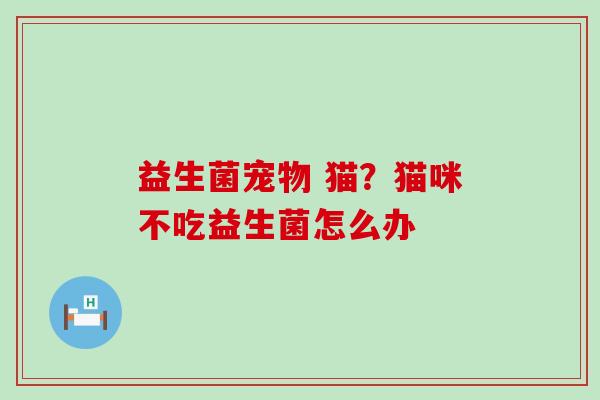 益生菌宠物 猫？猫咪不吃益生菌怎么办