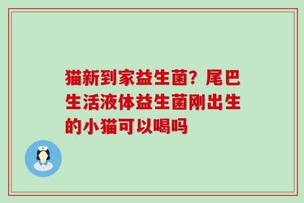 猫新到家益生菌？尾巴生活液体益生菌刚出生的小猫可以喝吗