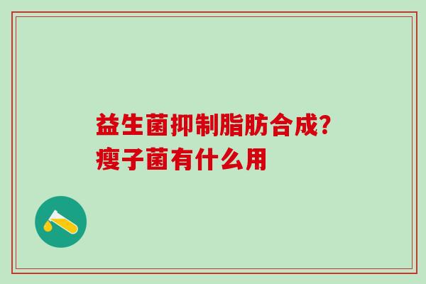 益生菌抑制脂肪合成？瘦子菌有什么用
