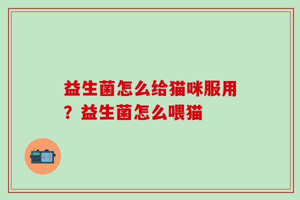 益生菌怎么给猫咪服用？益生菌怎么喂猫