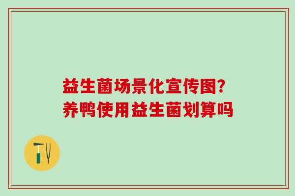 益生菌场景化宣传图？养鸭使用益生菌划算吗