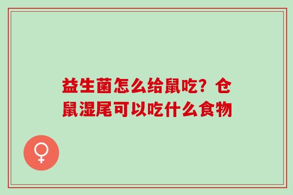 益生菌怎么给鼠吃？仓鼠湿尾可以吃什么食物