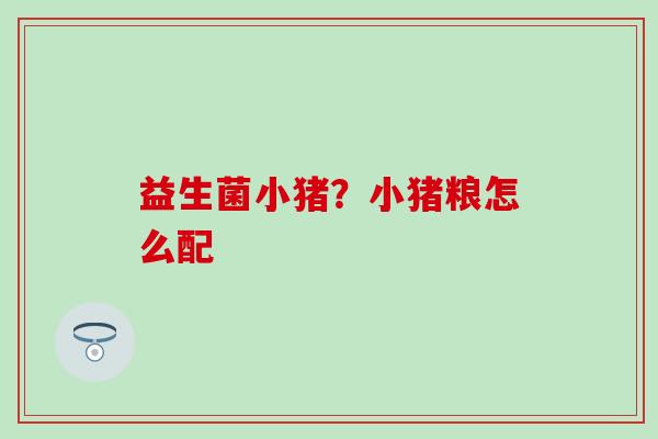 益生菌小猪？小猪粮怎么配
