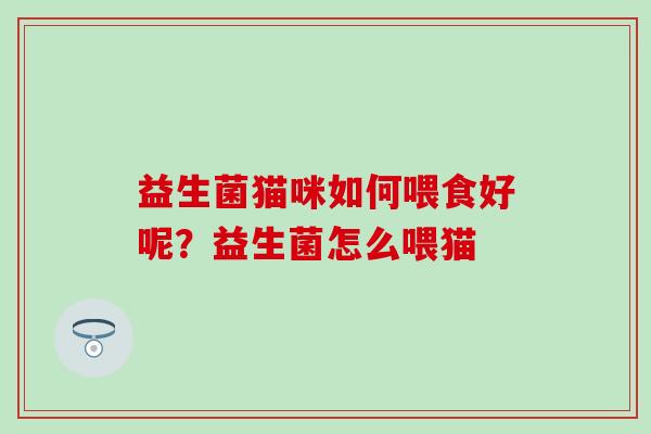 益生菌猫咪如何喂食好呢？益生菌怎么喂猫