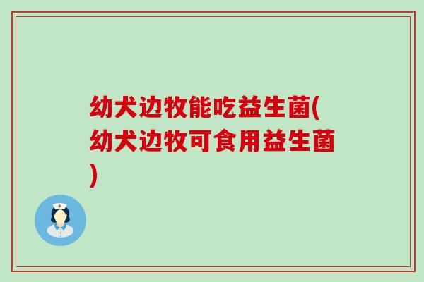 幼犬边牧能吃益生菌(幼犬边牧可食用益生菌)