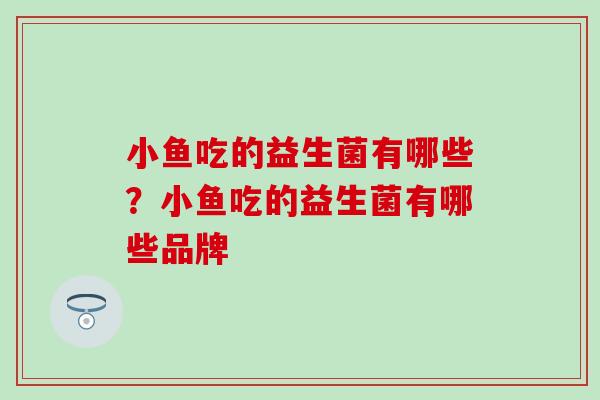 小鱼吃的益生菌有哪些？小鱼吃的益生菌有哪些品牌