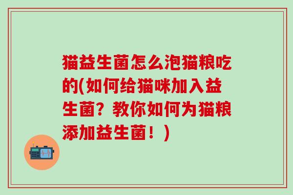 猫益生菌怎么泡猫粮吃的(如何给猫咪加入益生菌？教你如何为猫粮添加益生菌！)