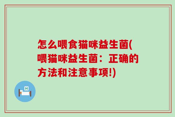 怎么喂食猫咪益生菌(喂猫咪益生菌：正确的方法和注意事项!)
