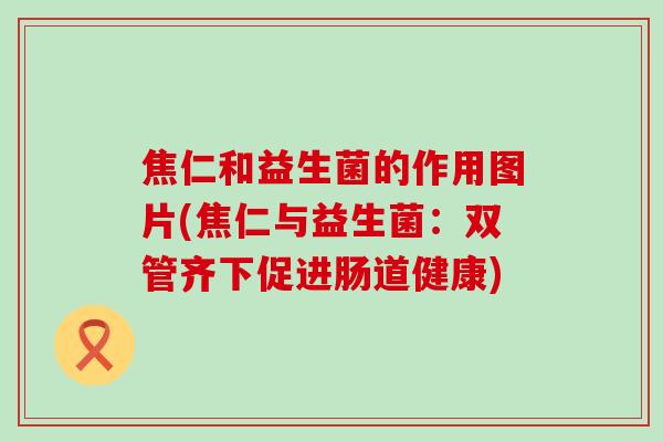 焦仁和益生菌的作用图片(焦仁与益生菌：双管齐下促进肠道健康)