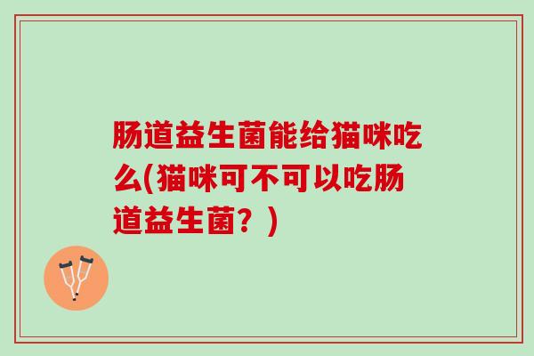 肠道益生菌能给猫咪吃么(猫咪可不可以吃肠道益生菌？)