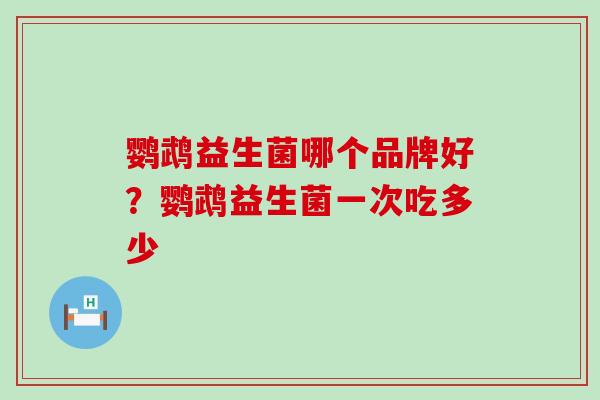鹦鹉益生菌哪个品牌好？鹦鹉益生菌一次吃多少