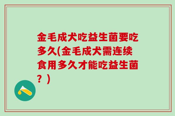 金毛成犬吃益生菌要吃多久(金毛成犬需连续食用多久才能吃益生菌？)
