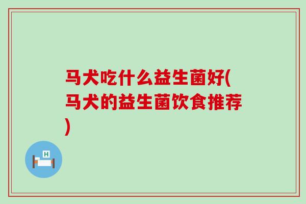 马犬吃什么益生菌好(马犬的益生菌饮食推荐)