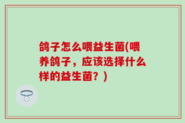 鸽子怎么喂益生菌(喂养鸽子，应该选择什么样的益生菌？)