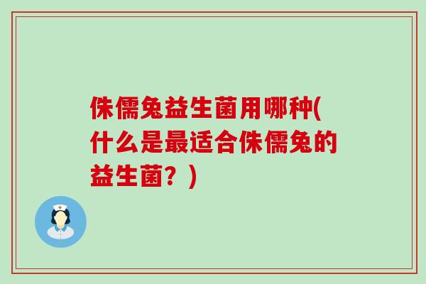 侏儒兔益生菌用哪种(什么是适合侏儒兔的益生菌？)