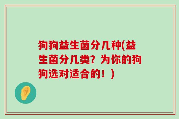 狗狗益生菌分几种(益生菌分几类？为你的狗狗选对适合的！)