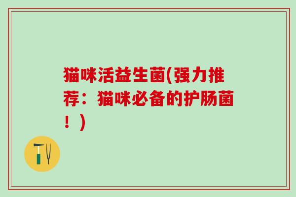 猫咪活益生菌(强力推荐：猫咪必备的护肠菌！)