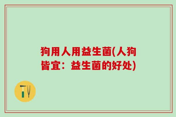 狗用人用益生菌(人狗皆宜：益生菌的好处)