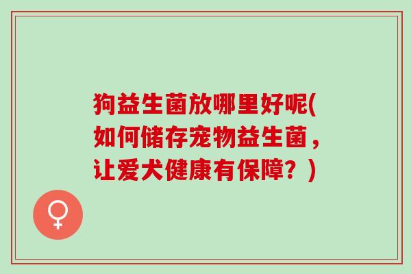 狗益生菌放哪里好呢(如何储存宠物益生菌，让爱犬健康有保障？)
