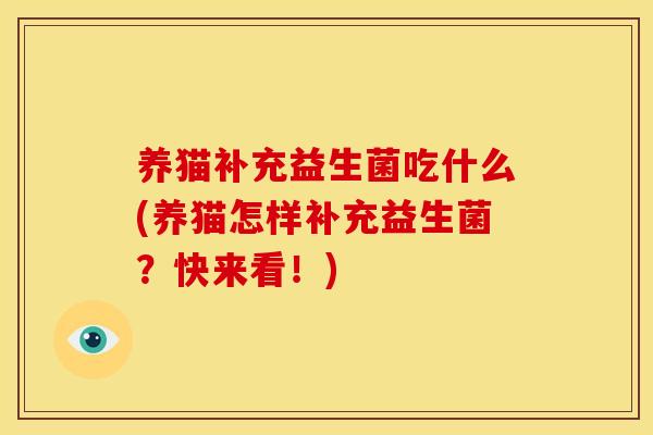 养猫补充益生菌吃什么(养猫怎样补充益生菌？快来看！)