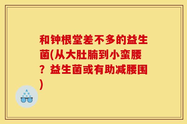 和钟根堂差不多的益生菌(从大肚腩到小蛮腰？益生菌或有助减腰围)
