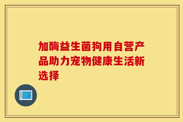 加酶益生菌狗用自营产品助力宠物健康生活新选择