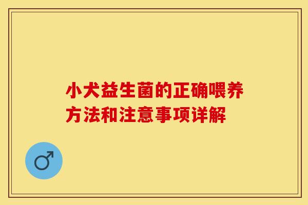 小犬益生菌的正确喂养方法和注意事项详解