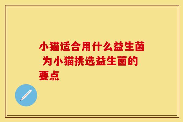 小猫适合用什么益生菌 为小猫挑选益生菌的要点