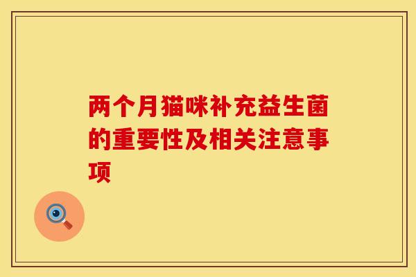 两个月猫咪补充益生菌的重要性及相关注意事项