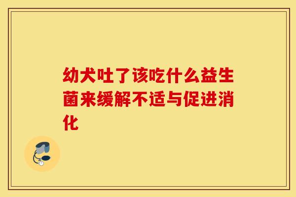 幼犬吐了该吃什么益生菌来缓解不适与促进消化