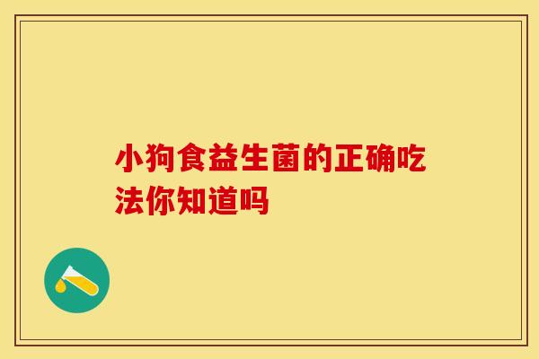 小狗食益生菌的正确吃法你知道吗