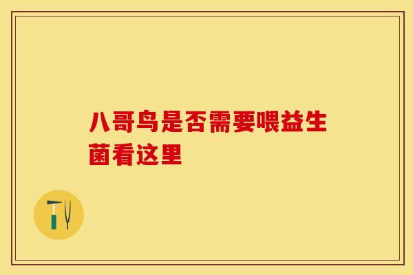 八哥鸟是否需要喂益生菌看这里