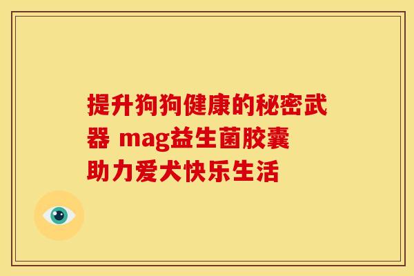 提升狗狗健康的秘密武器 mag益生菌胶囊助力爱犬快乐生活