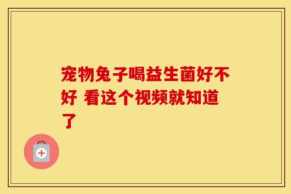 宠物兔子喝益生菌好不好 看这个视频就知道了