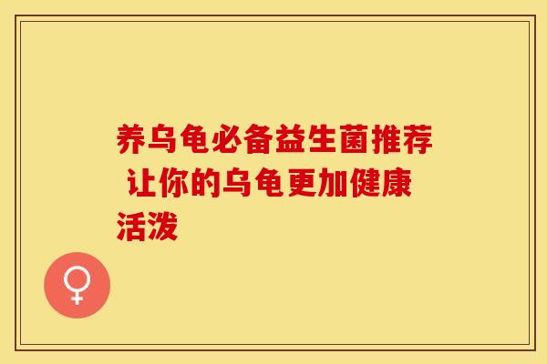 养乌龟必备益生菌推荐 让你的乌龟更加健康活泼