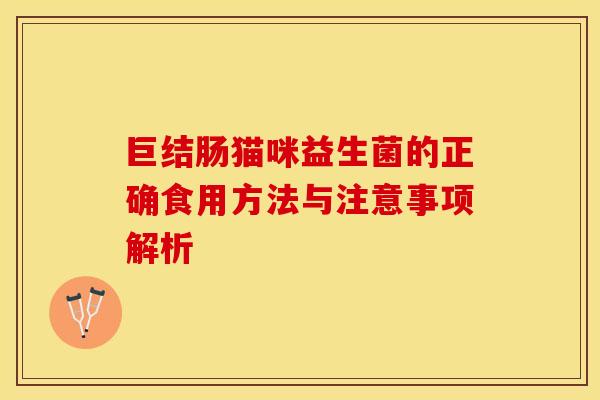 巨结肠猫咪益生菌的正确食用方法与注意事项解析