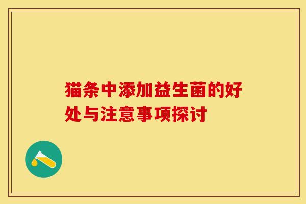 猫条中添加益生菌的好处与注意事项探讨