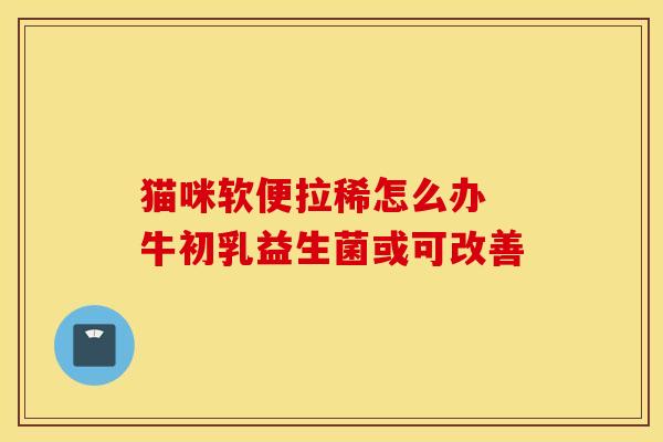 猫咪软便拉稀怎么办 牛初乳益生菌或可改善