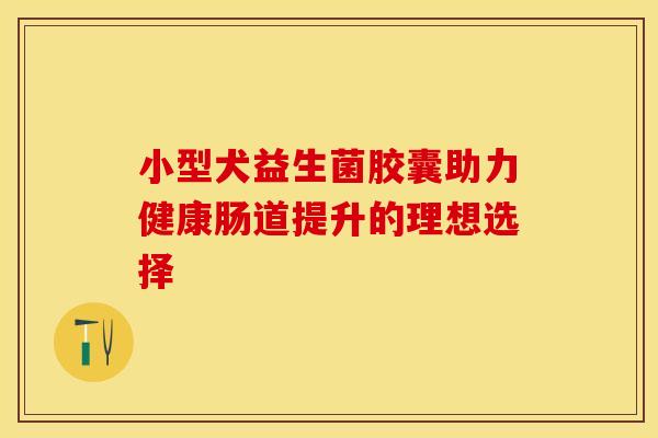 小型犬益生菌胶囊助力健康肠道提升的理想选择